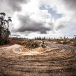 M-Sport Ford World Rally Team WRC Rally Chile