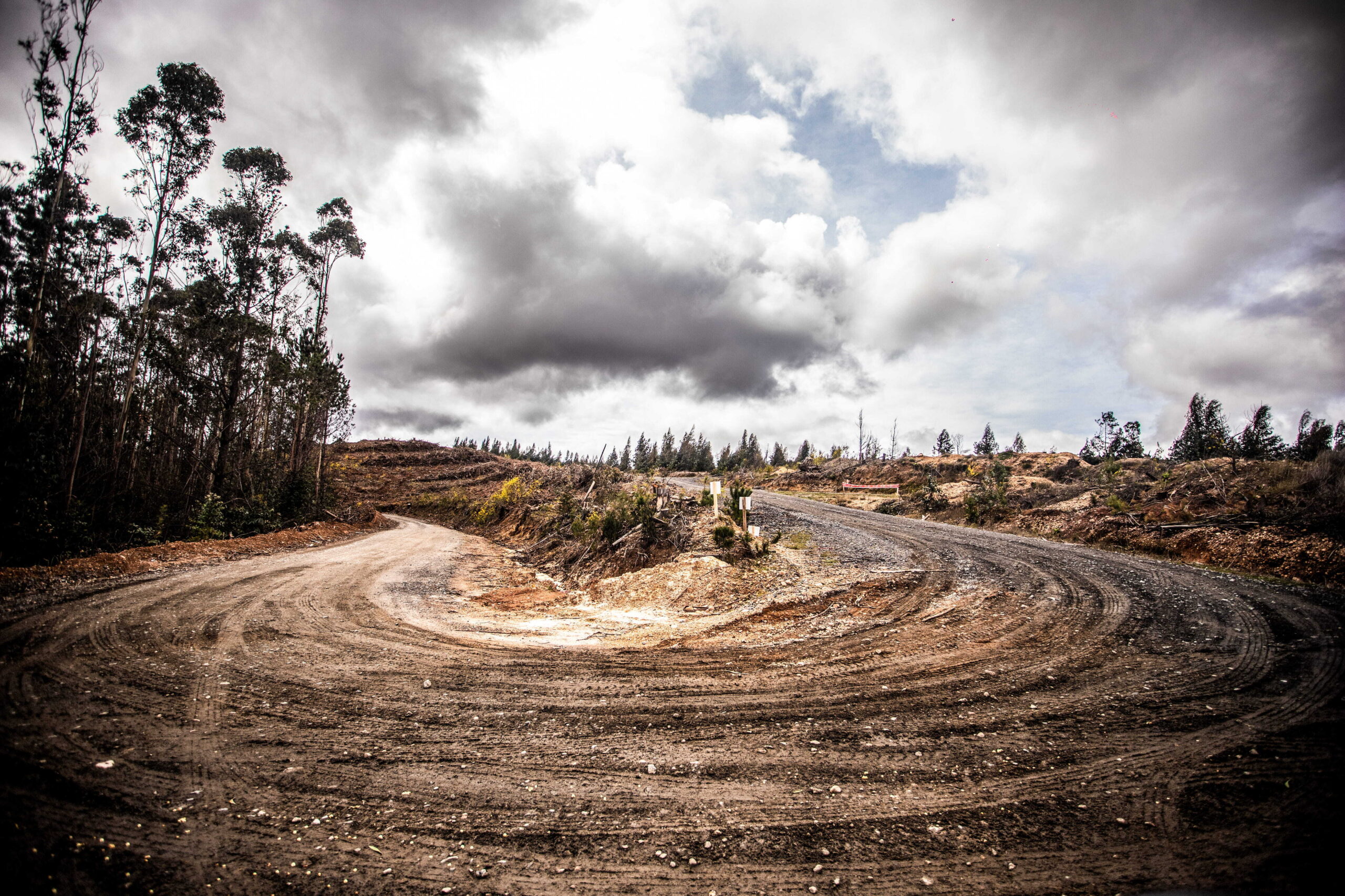 M-Sport Ford World Rally Team WRC Rally Chile
