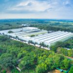 Stellantis Assumes Full Ownership of Its Indian Manufacturing Joint Venture in Thiruvallur
